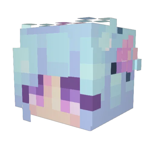 Sonije Minecraft avatar head, 3D render