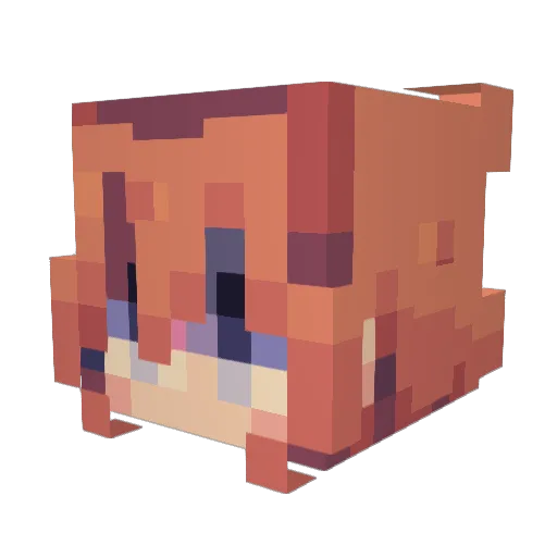 SonikZX Minecraft avatar head, 3D render