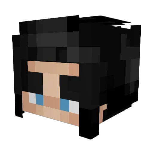 Sonikstar69 Minecraft avatar head, 3D render