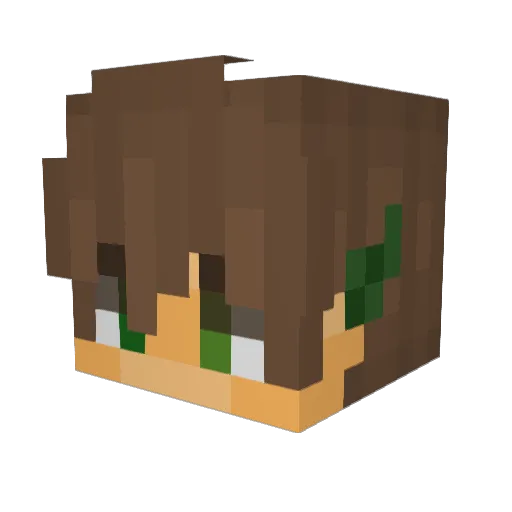 Sonis9 Minecraft avatar head, 3D render