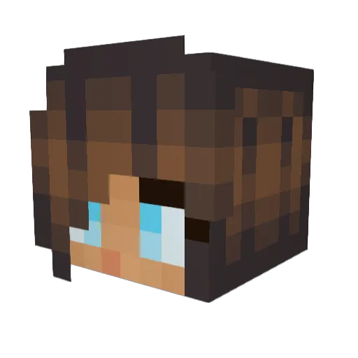 Sonj_craft Minecraft avatar head, 3D render