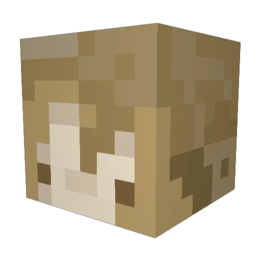 Sonja2014 Minecraft avatar head, 3D render