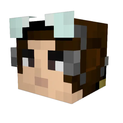 Sonkan123 Minecraft avatar head, 3D render