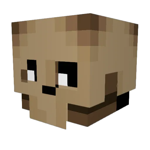Sonkowaffles Minecraft avatar head, 3D render