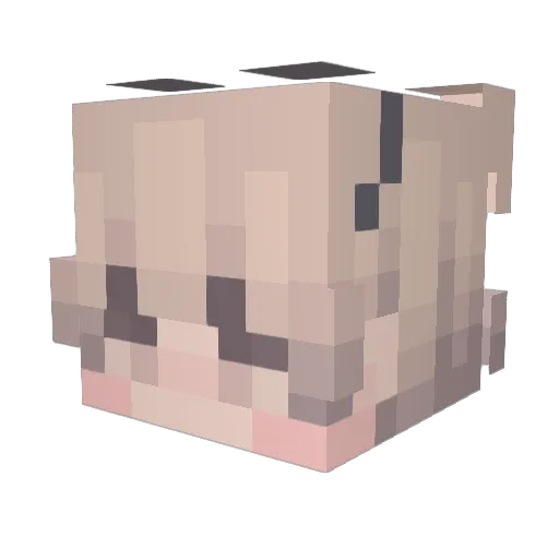 Sonlare Minecraft avatar head, 3D render