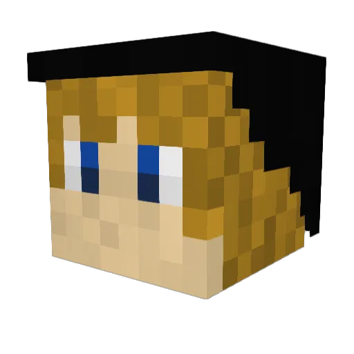 Sonlen1414 Minecraft avatar head, 3D render