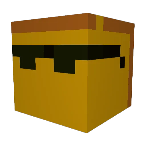 Sonlight16 Minecraft avatar head, 3D render