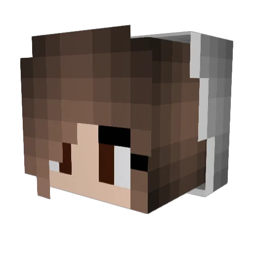 Sonnecool12 Minecraft avatar head, 3D render