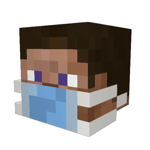 Sonnleyn Minecraft avatar head, 3D render