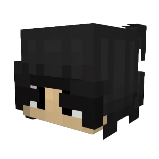 Sonnnet Minecraft avatar head, 3D render