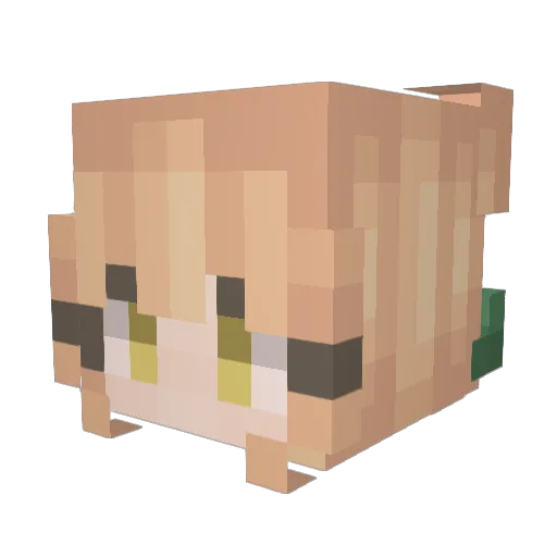 SonnoR101 Minecraft avatar head, 3D render