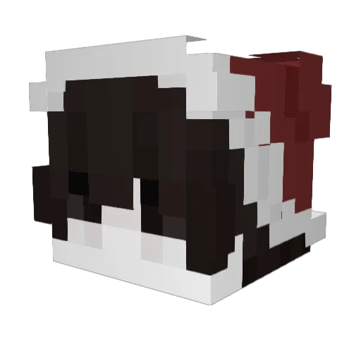 SonnyD__ Minecraft avatar head, 3D render