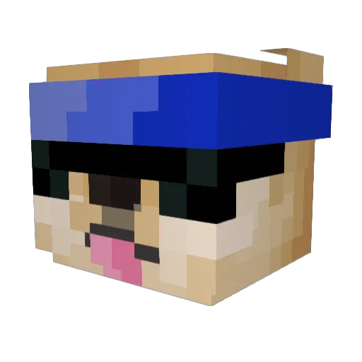 SonnyGuy Minecraft avatar head, 3D render