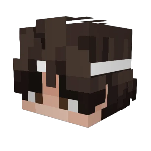 SonoErdi Minecraft avatar head, 3D render