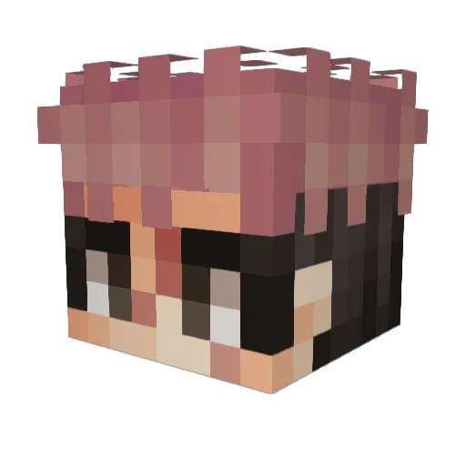 SonoUnMango Minecraft avatar head, 3D render