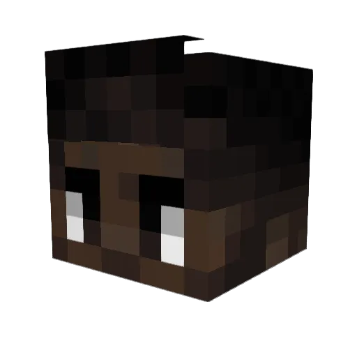 SonofCosmos Minecraft avatar head, 3D render
