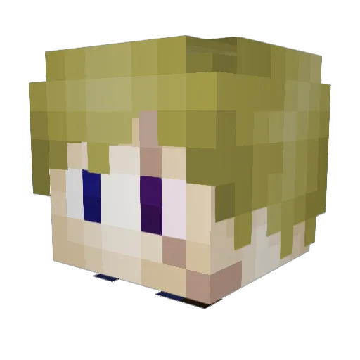 Sonofsparda9181 Minecraft avatar head, 3D render