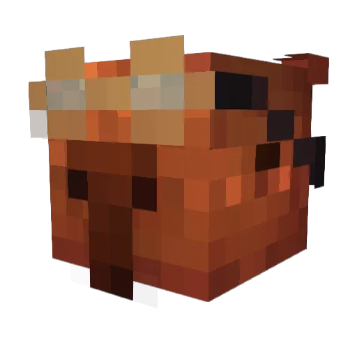 Sonolento0 Minecraft avatar head, 3D render