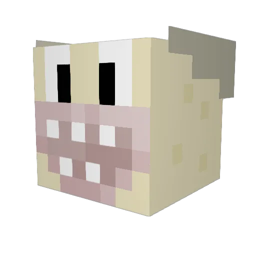 Sonops Minecraft avatar head, 3D render