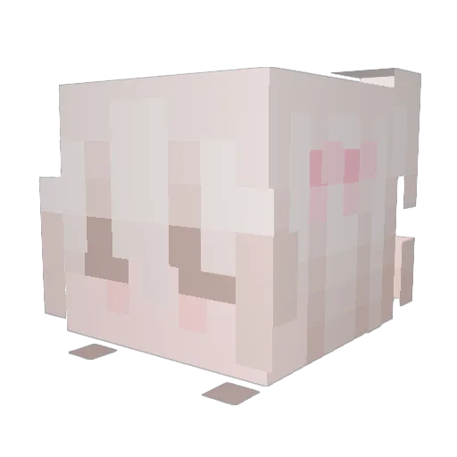 Sonosua Minecraft avatar head, 3D render