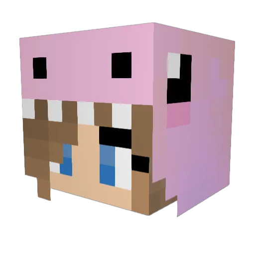Sonowoo Minecraft avatar head, 3D render