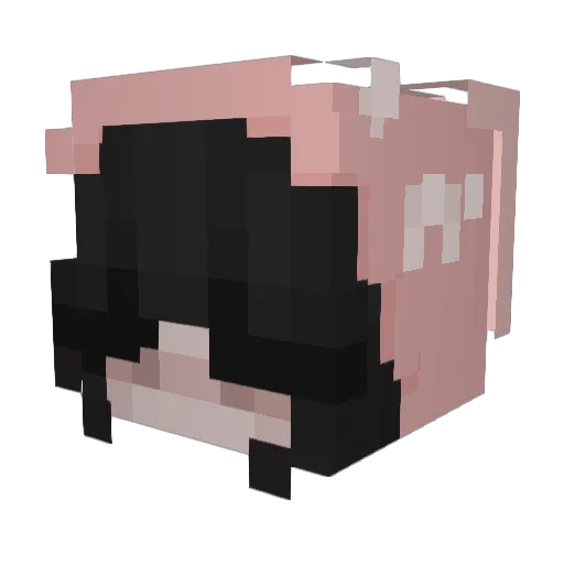 Sonsho_ Minecraft avatar head, 3D render