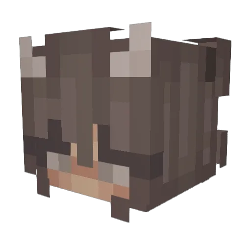 Sonyuhhh Minecraft avatar head, 3D render