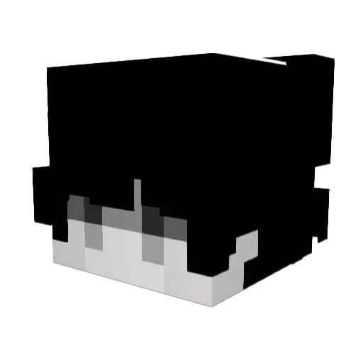 Soo_Noob Minecraft avatar head, 3D render