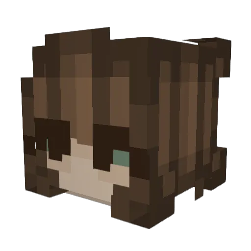 Soobinie_xoxo Minecraft avatar head, 3D render