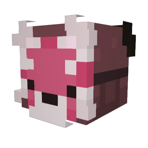 Sooes Minecraft avatar head, 3D render