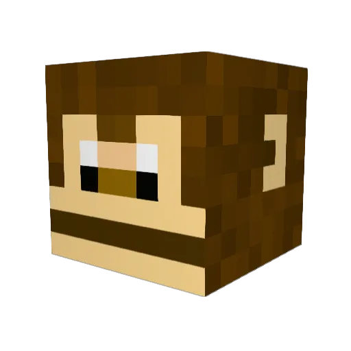 Soolbean Minecraft avatar head, 3D render
