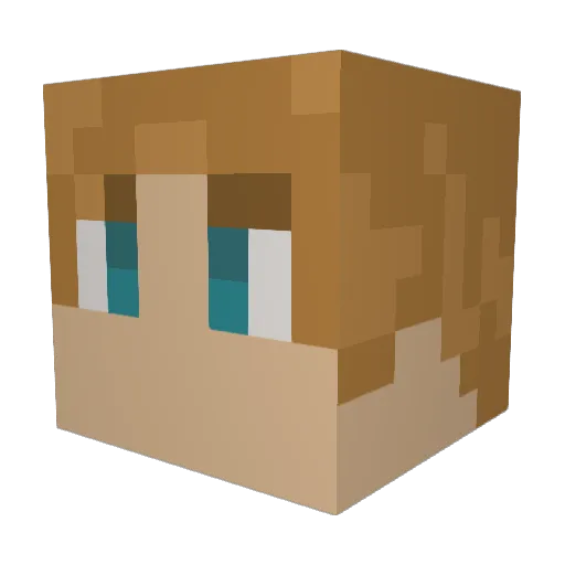 Soollz Minecraft avatar head, 3D render