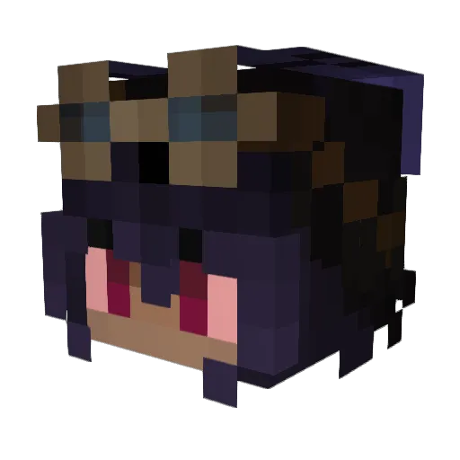 Soolties Minecraft avatar head, 3D render