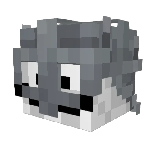 Soomez_ Minecraft avatar head, 3D render