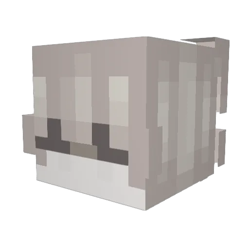 Soommerrr Minecraft avatar head, 3D render