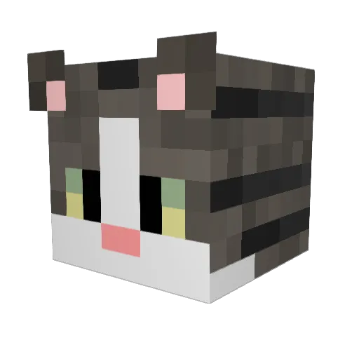 SoonDoll2 Minecraft avatar head, 3D render