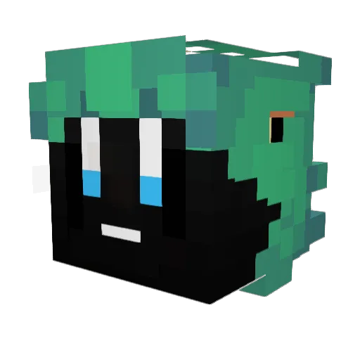 Sooner_ Minecraft avatar head, 3D render
