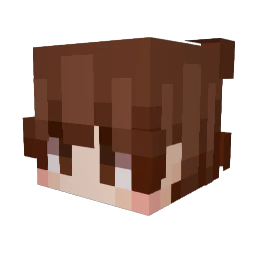 Soonnii Minecraft avatar head, 3D render