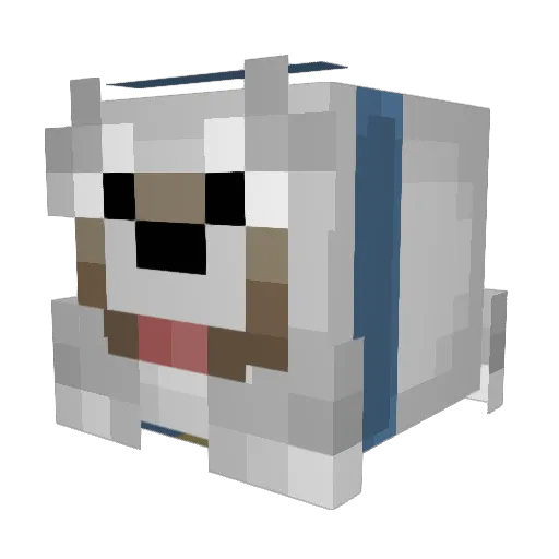 SoopOfSteel37 Minecraft avatar head, 3D render