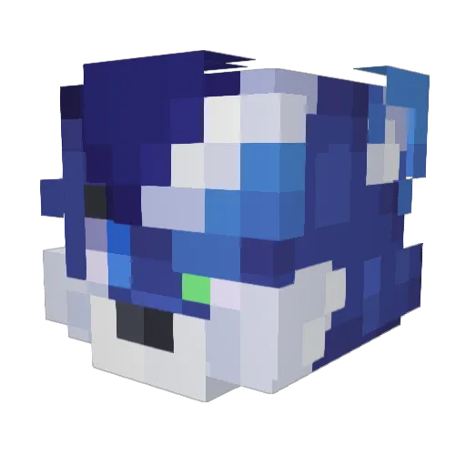 SooperCoups Minecraft avatar head, 3D render
