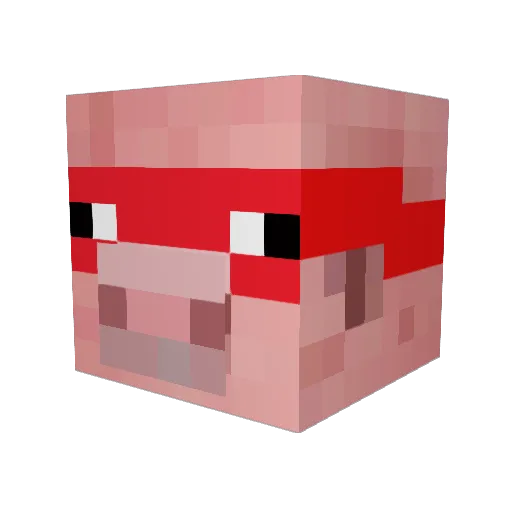 SooperTaco Minecraft avatar head, 3D render