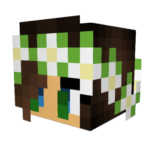 Soor24 Minecraft avatar head, 3D render