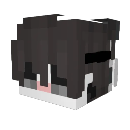 Soouls_ Minecraft avatar head, 3D render