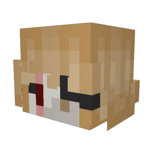 Sop_5000 Minecraft avatar head, 3D render