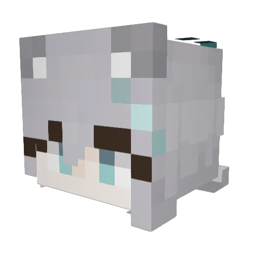 Sop_Dogger Minecraft avatar head, 3D render