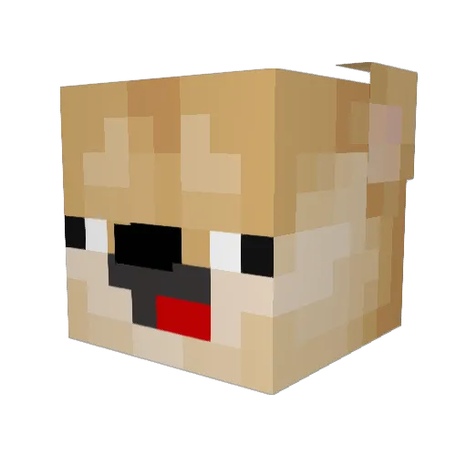 Sopai Minecraft avatar head, 3D render