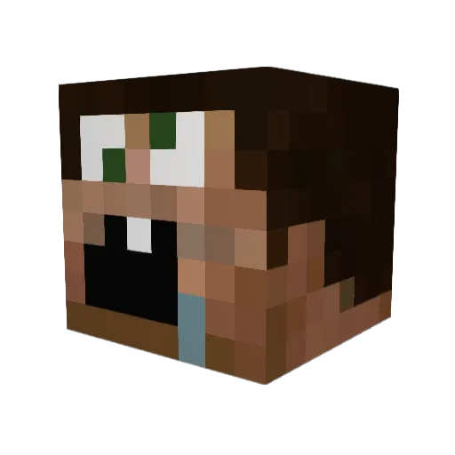 Sopas11 Minecraft avatar head, 3D render
