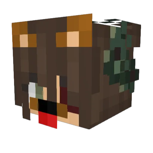 Soph1e376 Minecraft avatar head, 3D render