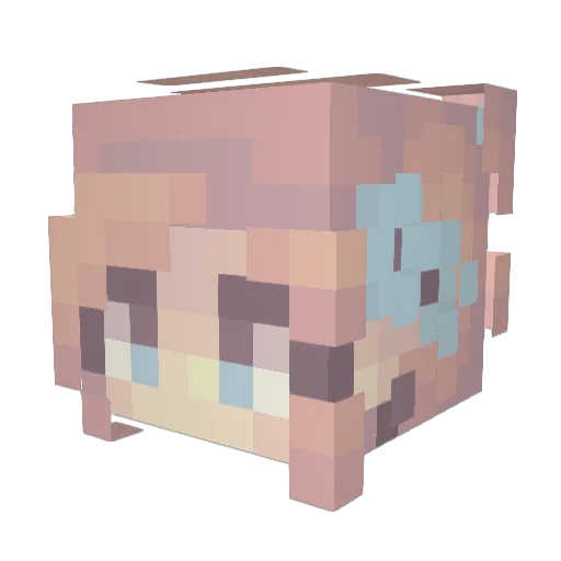 SophTheTroph Minecraft avatar head, 3D render