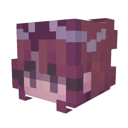 Soph_RipGames Minecraft avatar head, 3D render